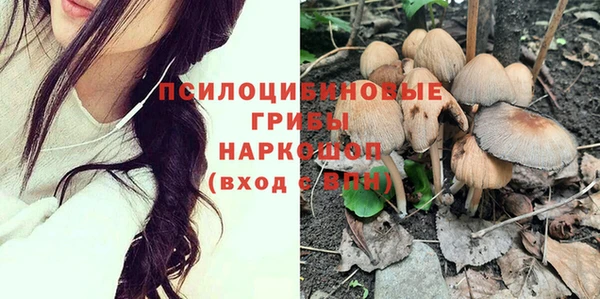 стафф Богородицк