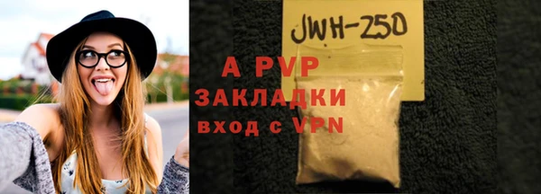 стафф Богородицк