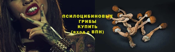 стафф Богородицк
