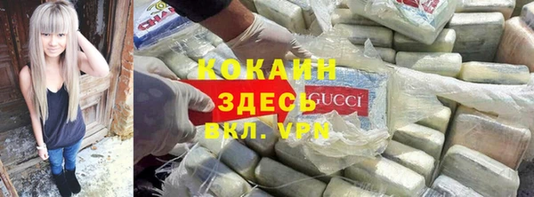 стафф Богородицк