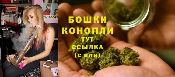 стафф Богородицк